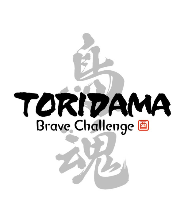 TORIDAMA: Brave Challenge Steam Key GLOBAL